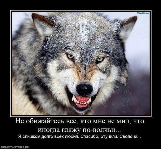 Олег Роппель