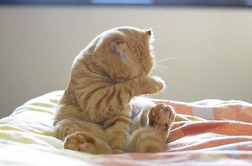 Трошков Кирилл