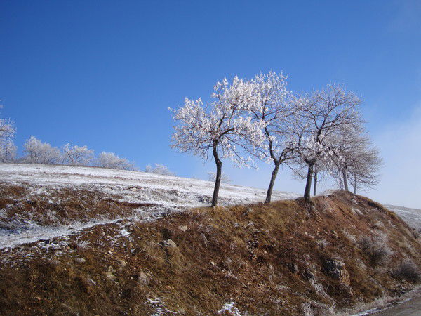 Оксана Бевз