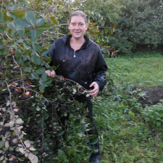 Света Золотова