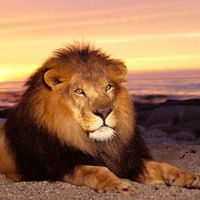 Влад Завацкий