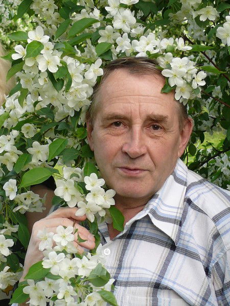 Александр Мамаев