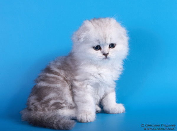 Анастасия Успенская