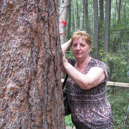 Елена Хвостова