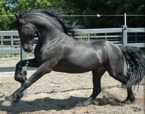 Алмат Булатулы