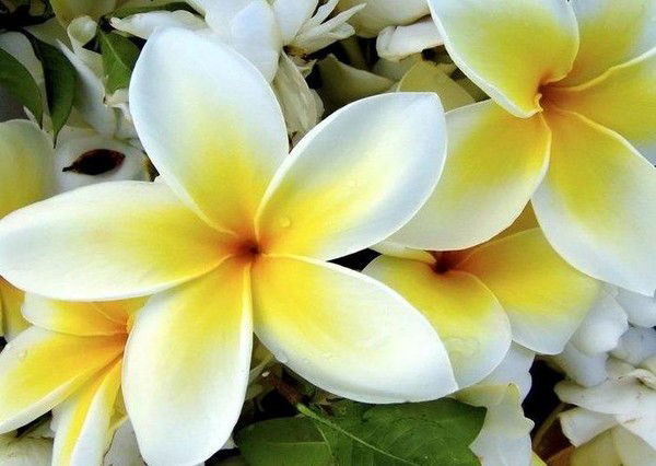 Марина Селютина