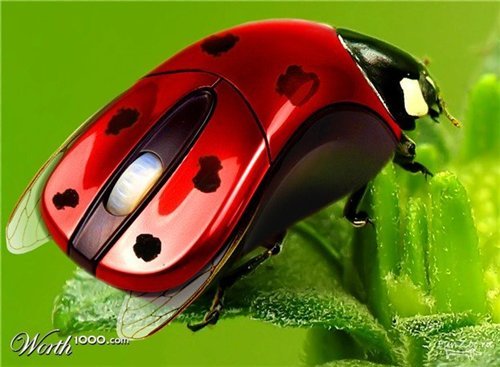 Маргарита Кравец