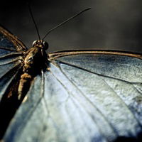 Ната Качкуркина