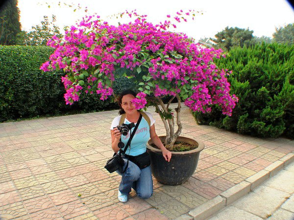 Елена Зиангирова