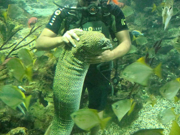 Олег Гайнутдинов