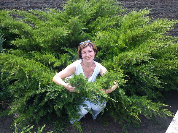 Света Хохлова