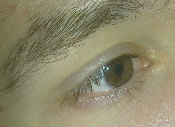 Плюшевый Засранец