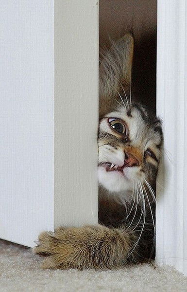 Гарин Александр