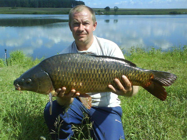 Владимир Фендриков