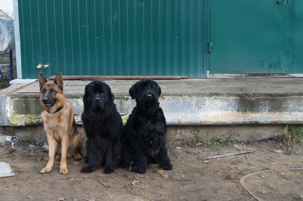 Светлана Ткаченко