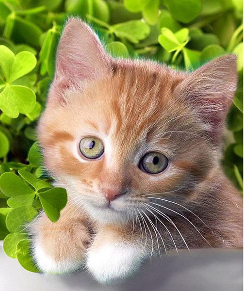 Артур Смирнов