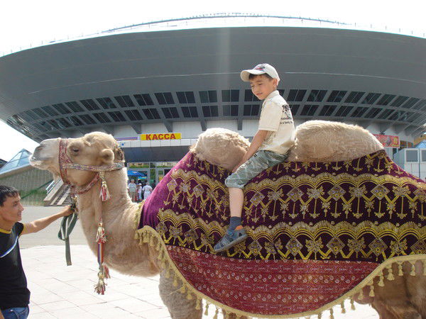 Масакбаев Арман