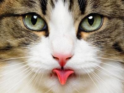 Лилия Зотова