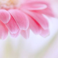 Наталья Купраш