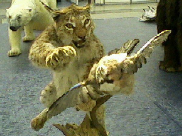 Александр Егер