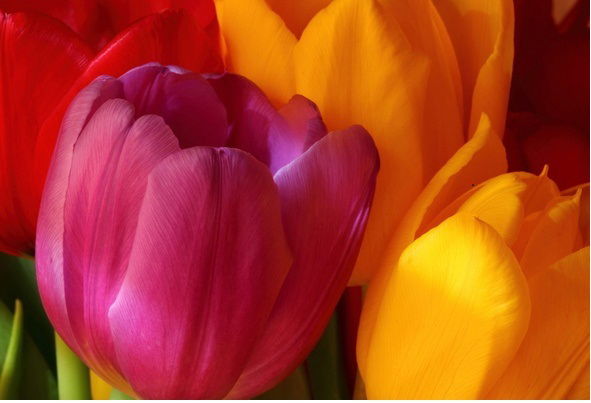 Бибираба Сулейменова