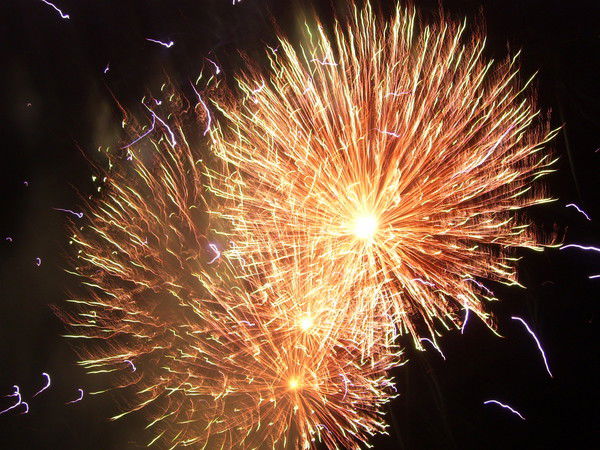 Александр Коваль