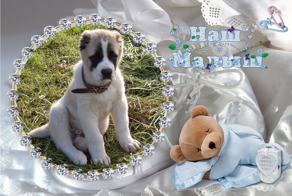 Надежда Максимова