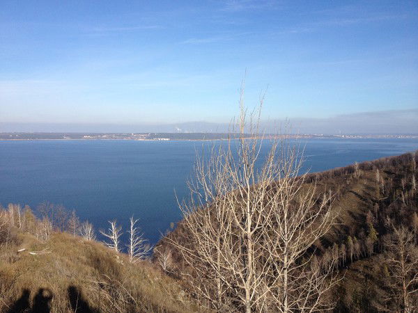 Анюта Кайкова