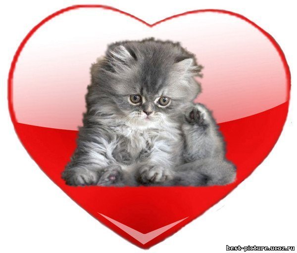 В Поисках Антландиты