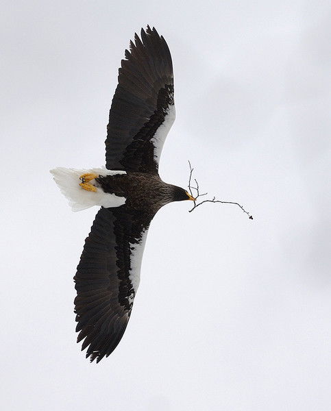 Бредун Вера