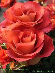 Альбина Ильдар Фатхутдиновы