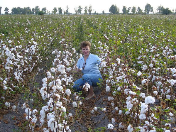 Ирина Танеева