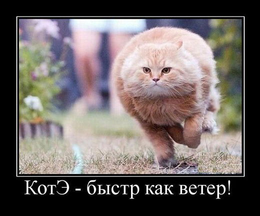 Орионщики Кувшиново