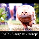 Орионщики Кувшиново