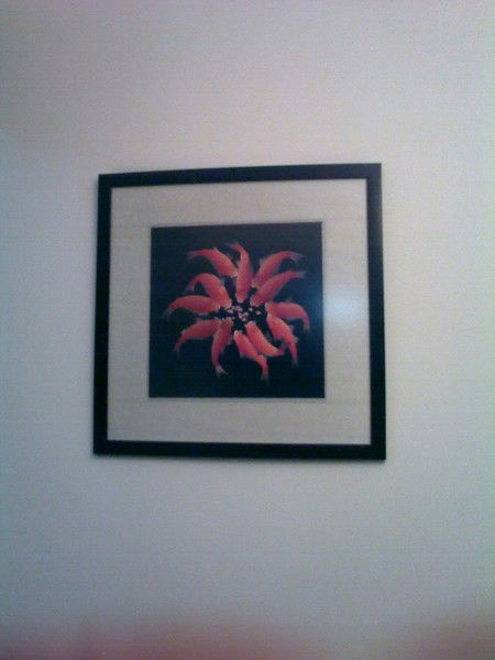 Гаухар Гаухар