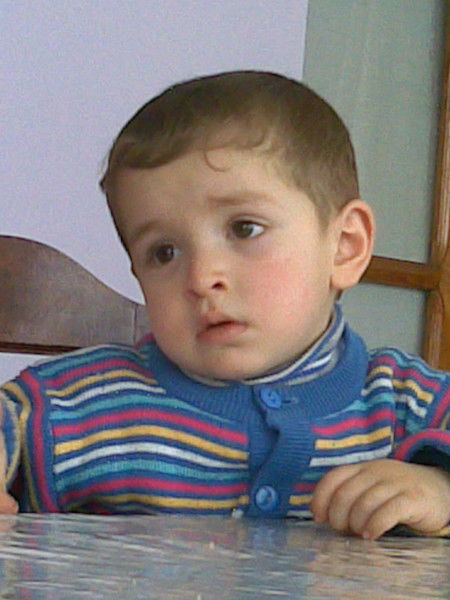 Яшар Мамедов