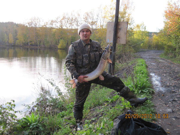 Денис Курбатов