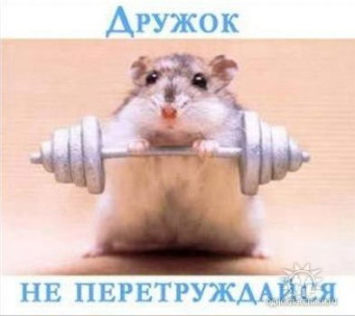 Георгий Новиков