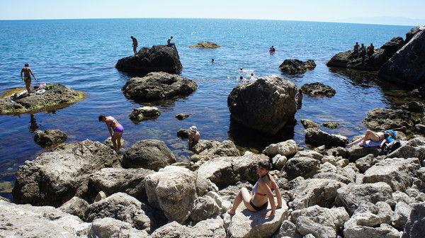 Елена Кирилова