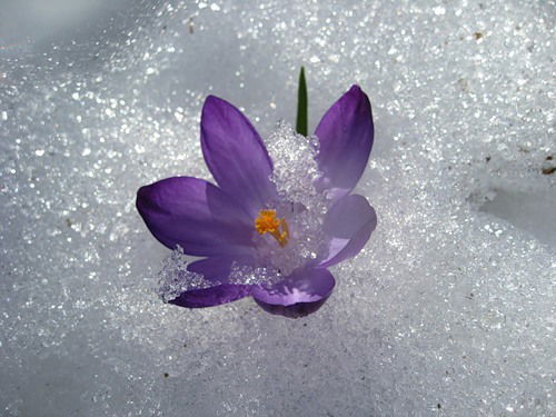 Наталья ######