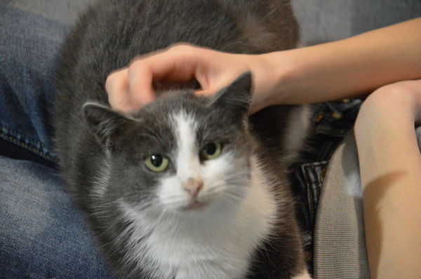 Анастасия *