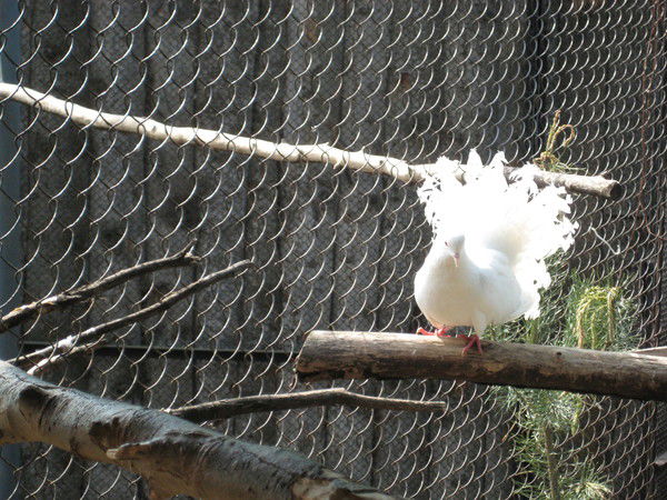 Гульнара Бурганова