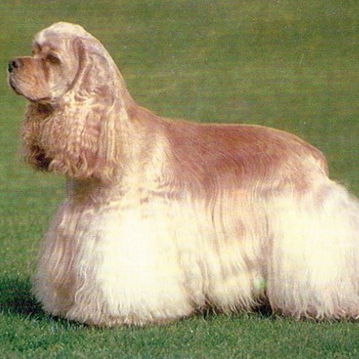 Татьяна Вишневская