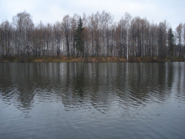 Елена Рыбакова