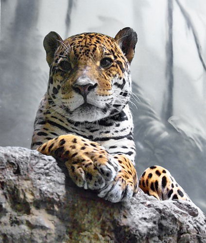 Наташа Баринова