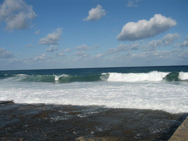 Наталья Козлова