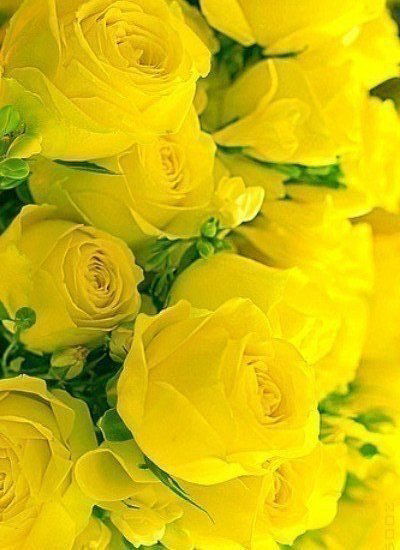 Юлия Архипова