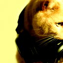 Tommy Tomline