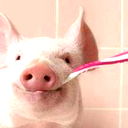 Артем Марченко