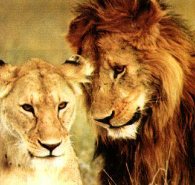 Надежда Абламонова